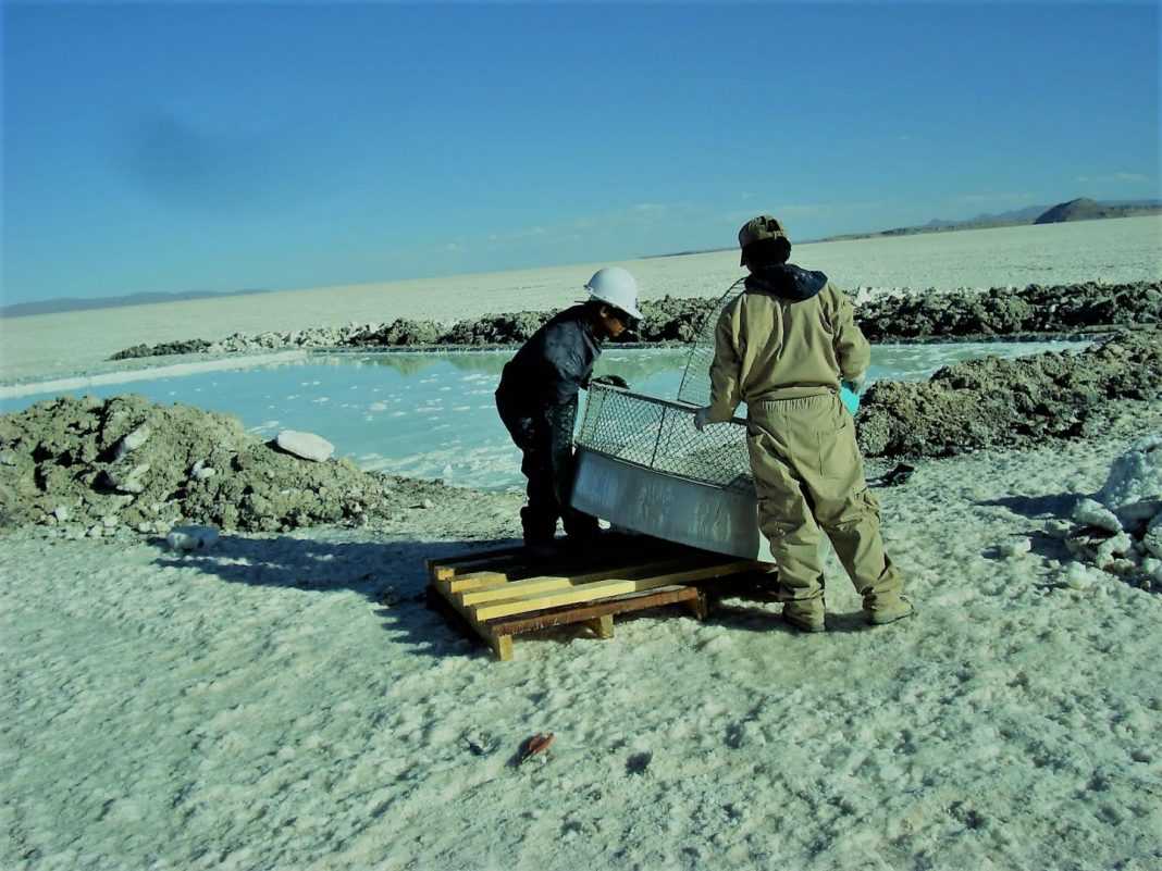 El RIGI genera inversiones mineras en Salta y Mendoza - Ser Industria